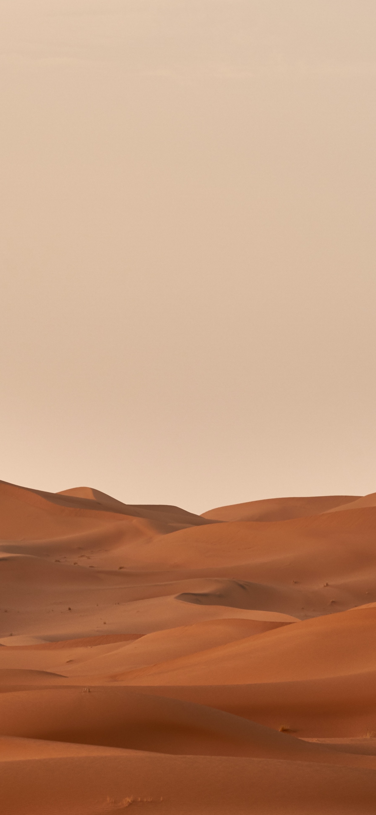棕色, 自然景观, Erg, 地平线, 唱沙 壁纸 1242x2688 允许