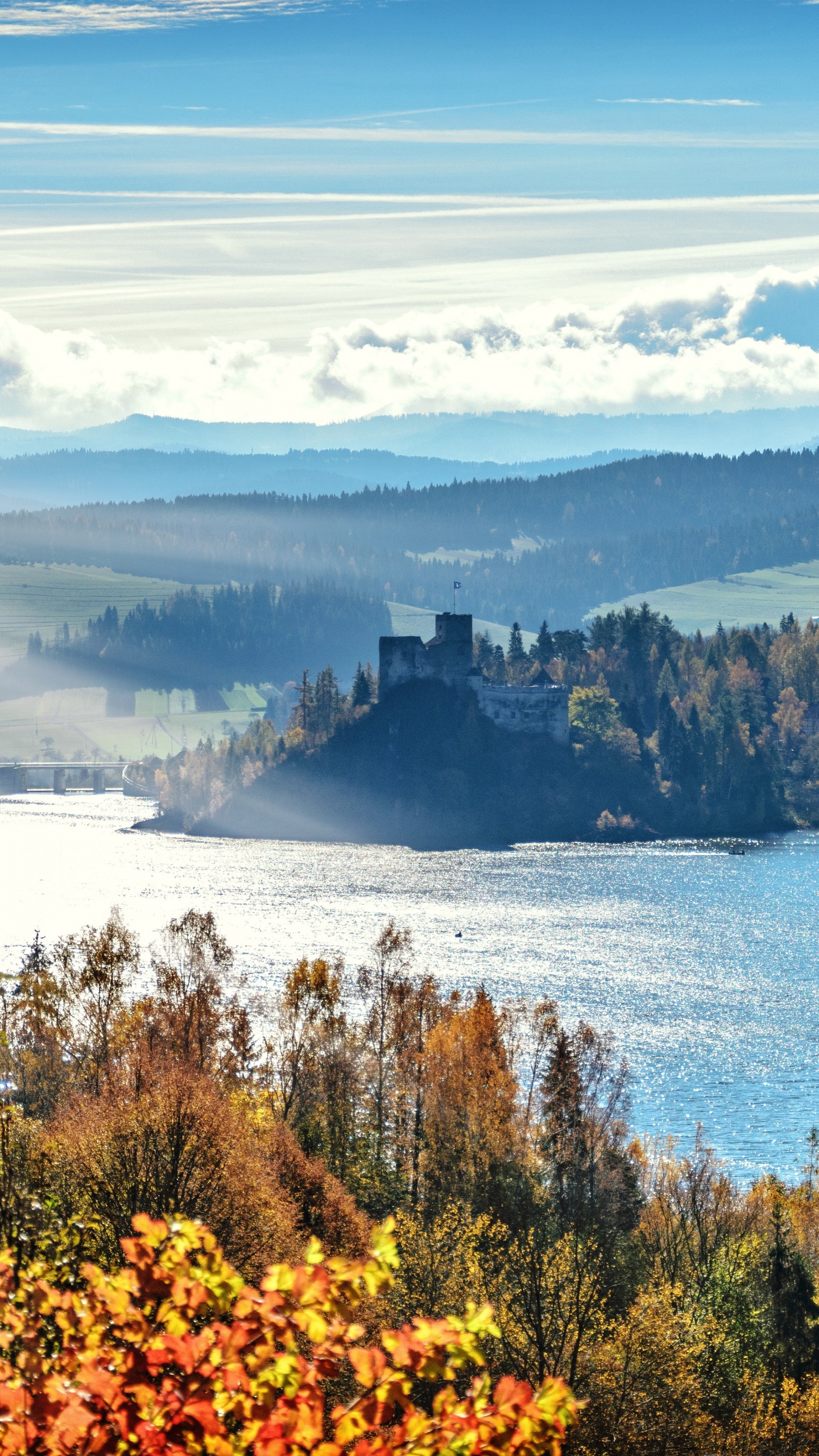 Naturlandschaft, Baum, Natur, Wildnis, Lobgesang. Wallpaper in 1440x2560 Resolution