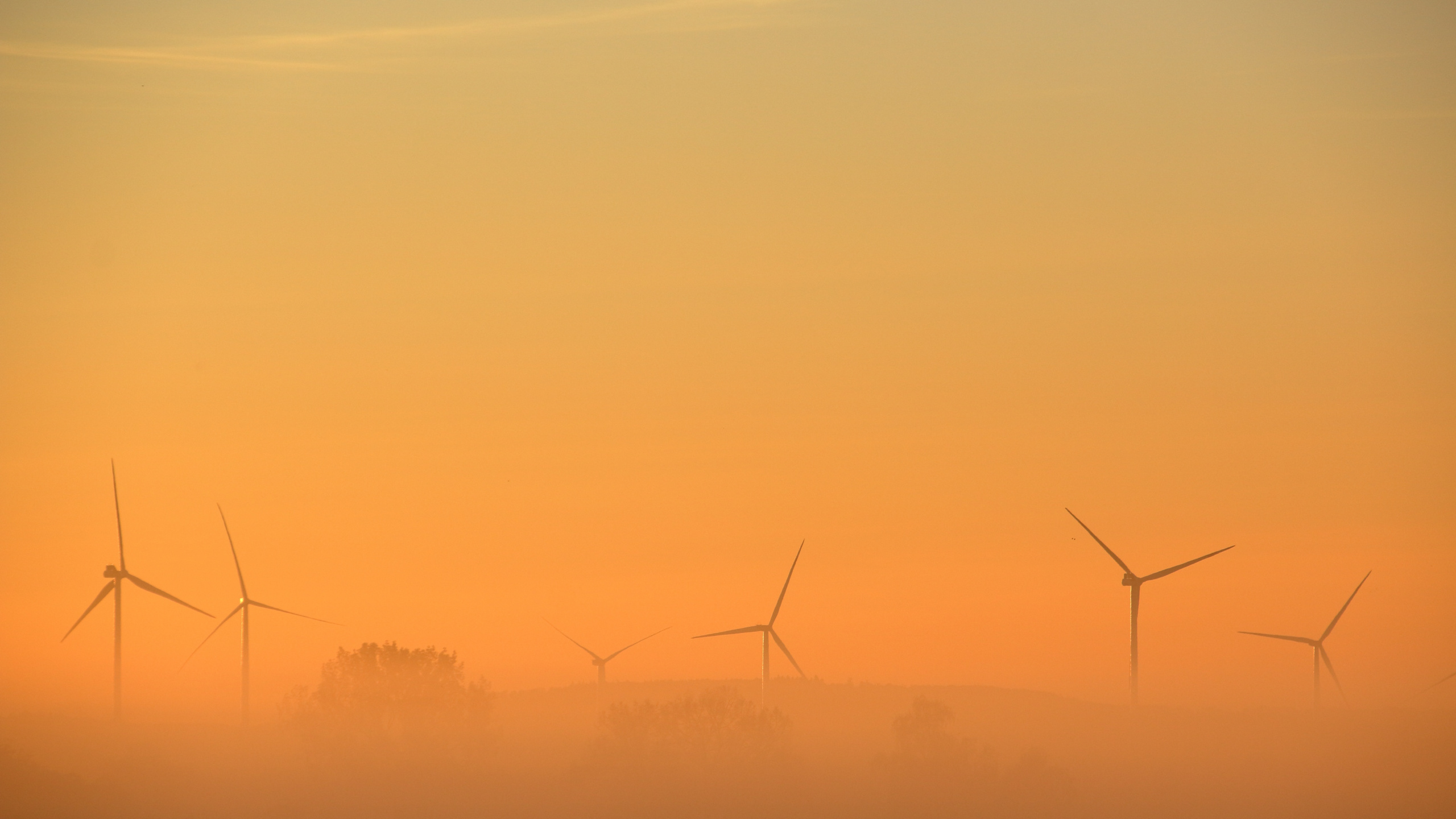 Silhouette of Electric Post During Sunset. Wallpaper in 2560x1440 Resolution