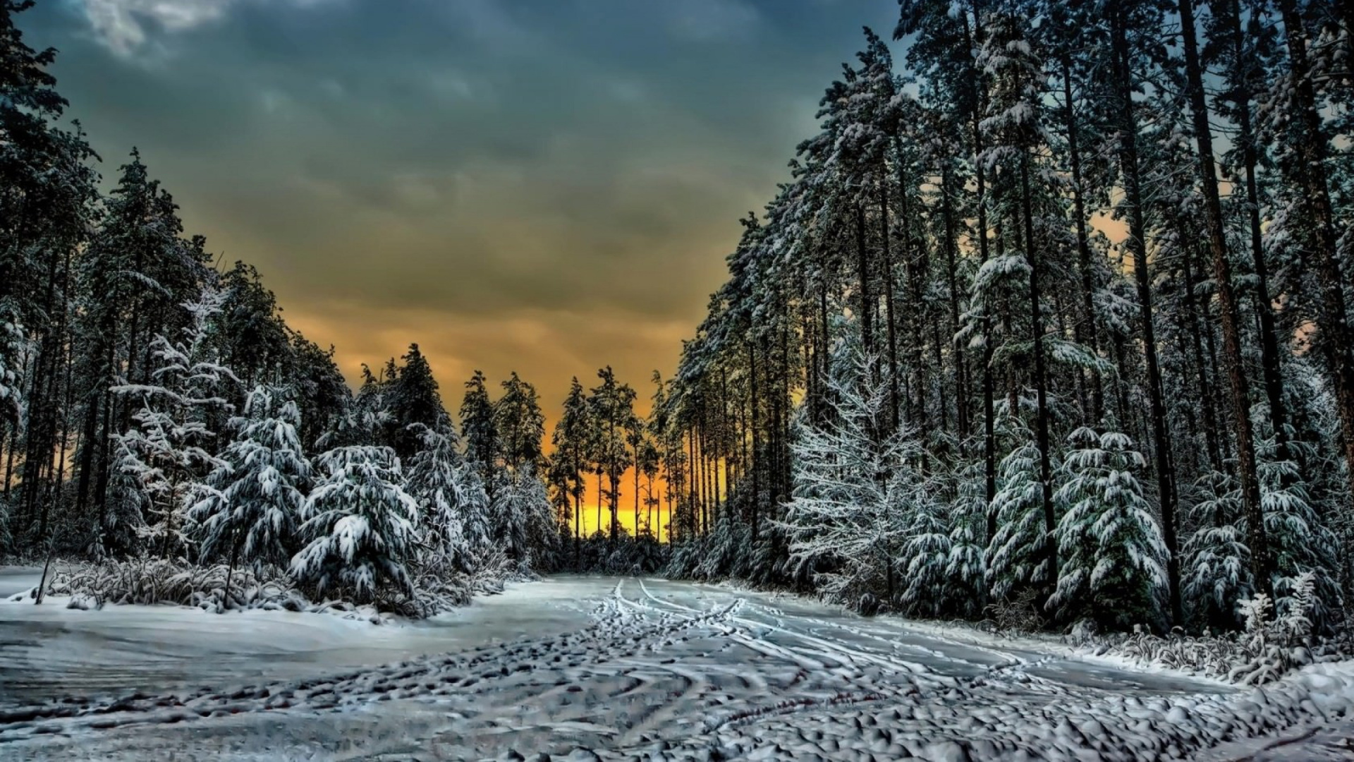 Snow Covered Trees Under Cloudy Sky During Daytime. Wallpaper in 1920x1080 Resolution