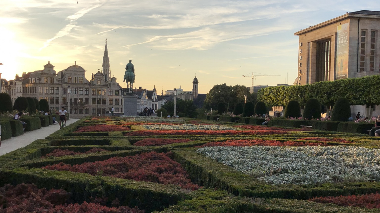 Arbuste, Garden, Botanique, Couvre-sol, Plantation. Wallpaper in 1280x720 Resolution