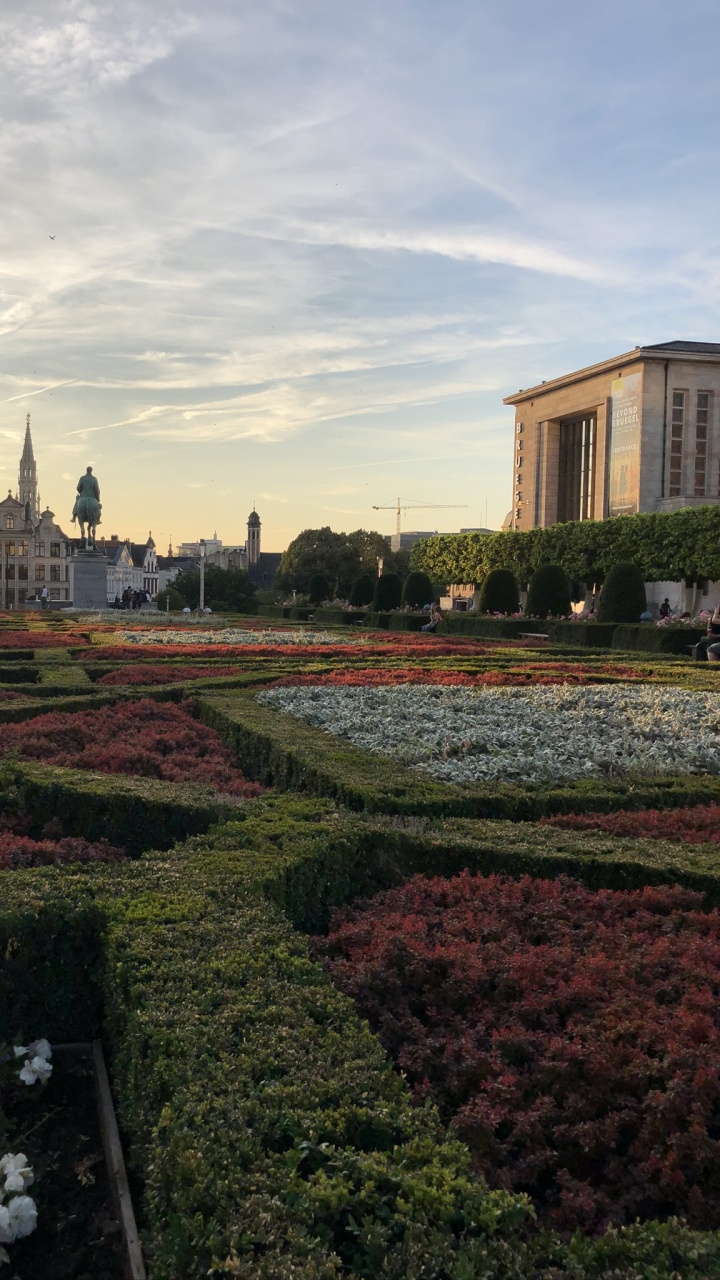 Arbuste, Garden, Botanique, Couvre-sol, Plantation. Wallpaper in 720x1280 Resolution