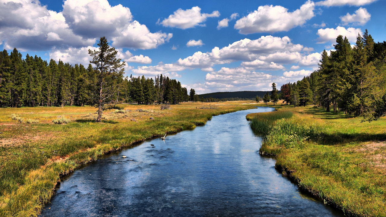 Green Grass Field Near River Under Blue Sky During Daytime. Wallpaper in 1280x720 Resolution