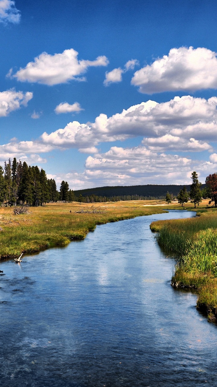 Green Grass Field Near River Under Blue Sky During Daytime. Wallpaper in 720x1280 Resolution