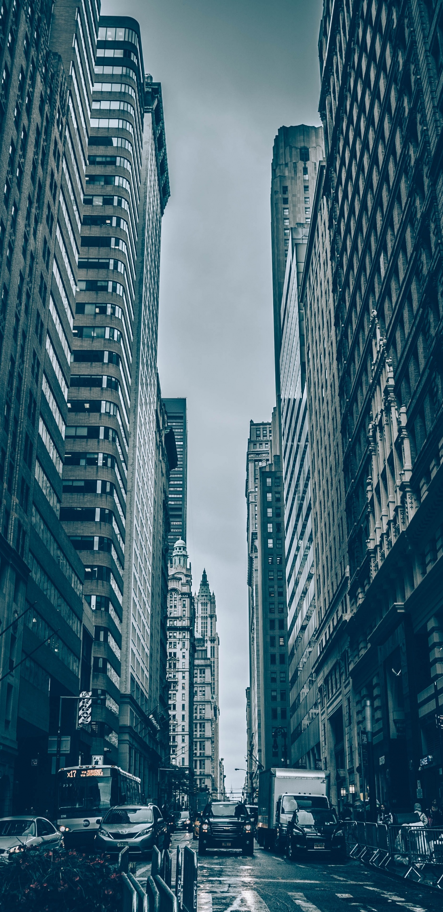 Grayscale Photo of Cars on Road Between High Rise Buildings. Wallpaper in 1440x2960 Resolution