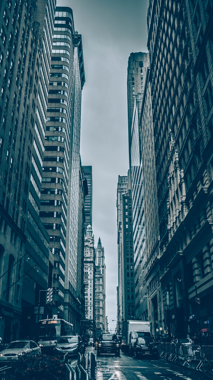 Grayscale Photo of Cars on Road Between High Rise Buildings. Wallpaper in 750x1334 Resolution