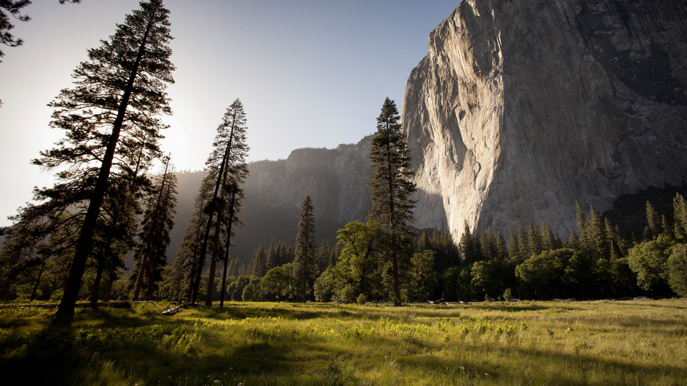 Green Grass Field Near Trees and Mountain During Daytime. Wallpaper in 1366x768 Resolution