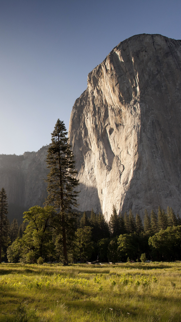 Green Grass Field Near Trees and Mountain During Daytime. Wallpaper in 750x1334 Resolution
