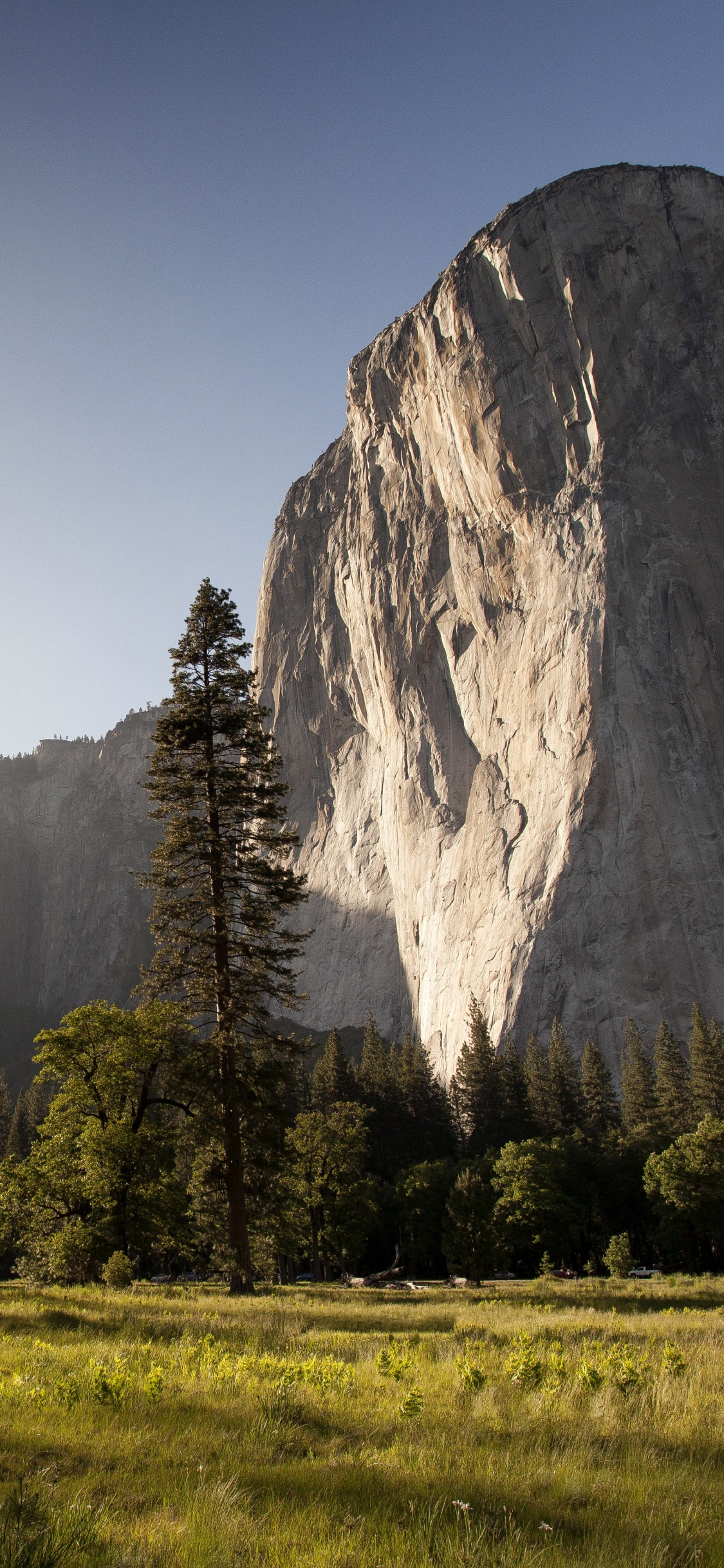 Tagsüber Grüne Wiese in Der Nähe Von Bäumen Und Bergen. Wallpaper in 1125x2436 Resolution