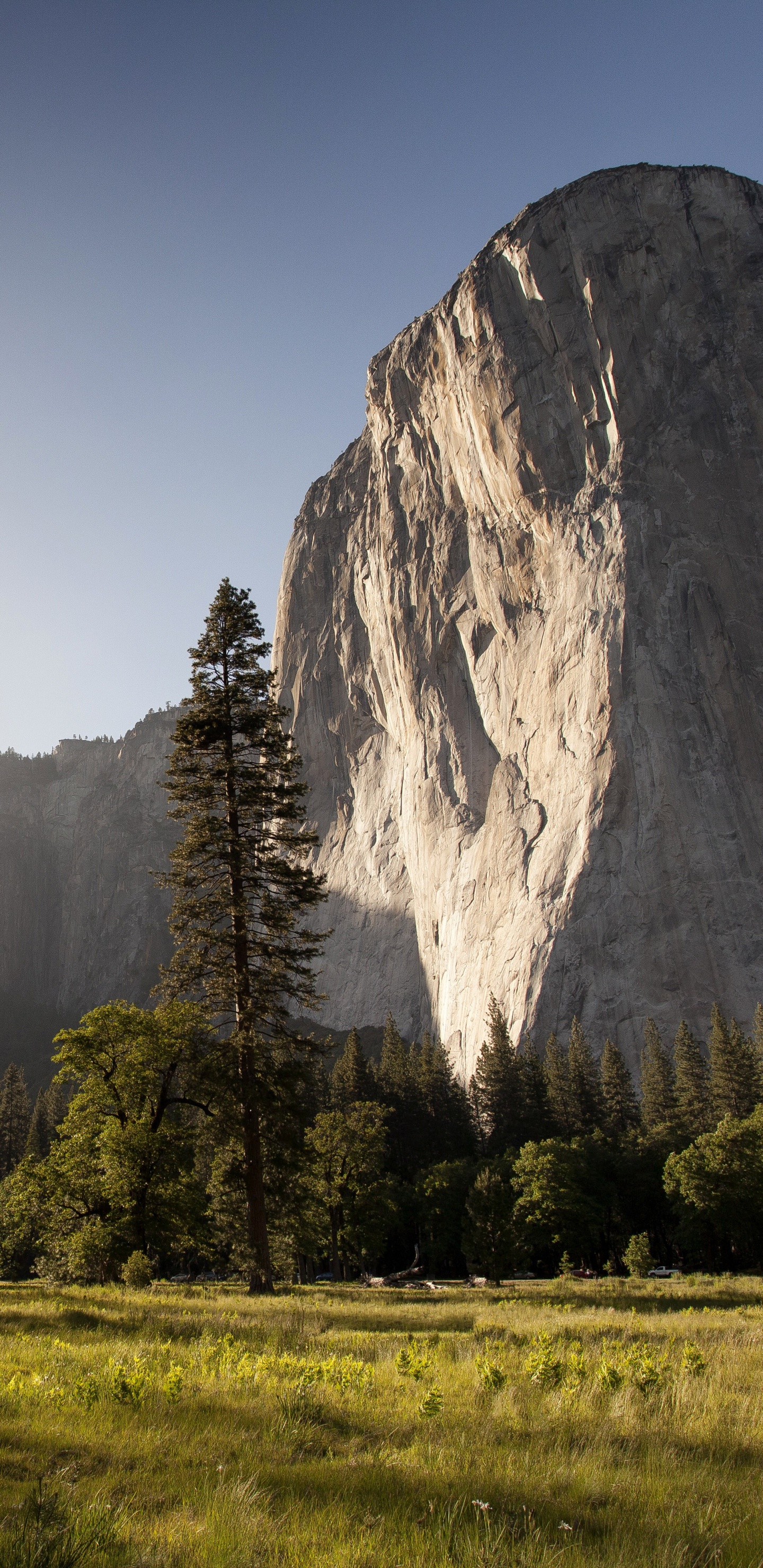 Tagsüber Grüne Wiese in Der Nähe Von Bäumen Und Bergen. Wallpaper in 1440x2960 Resolution