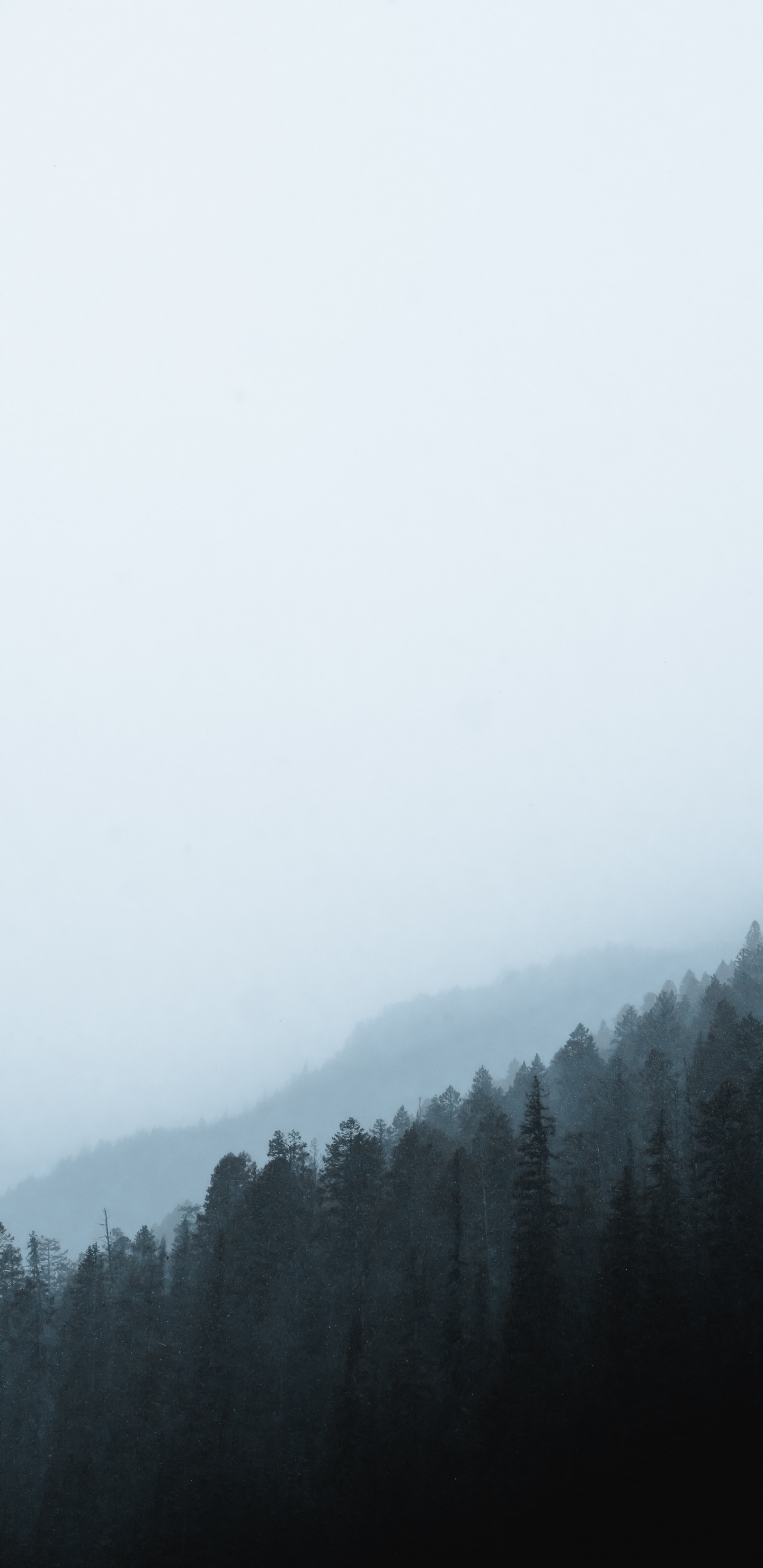 Mañana, Nieve, Neblina, Bruma, Ambiente. Wallpaper in 1440x2960 Resolution