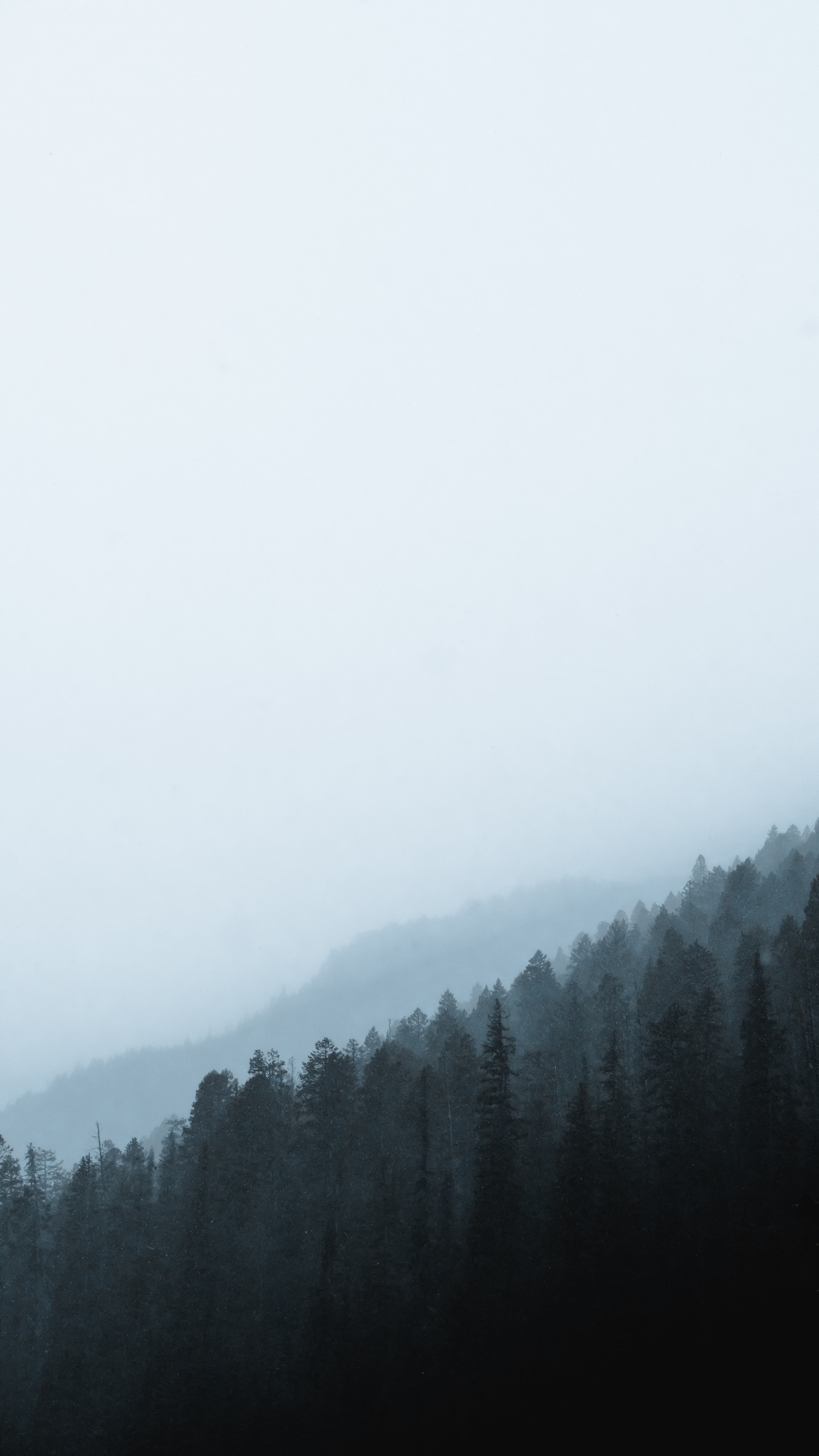 Matin, Neige, Brume, Brouillard, Atmosphère. Wallpaper in 1440x2560 Resolution