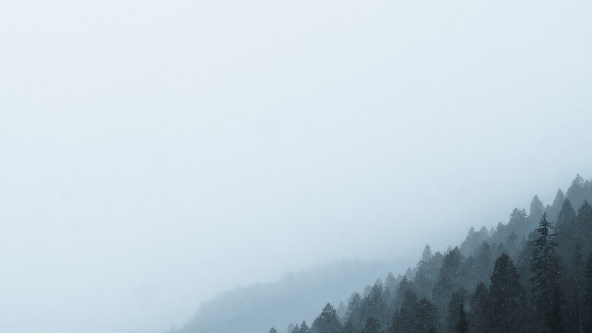 Matin, Neige, Brume, Brouillard, Atmosphère. Wallpaper in 1920x1080 Resolution
