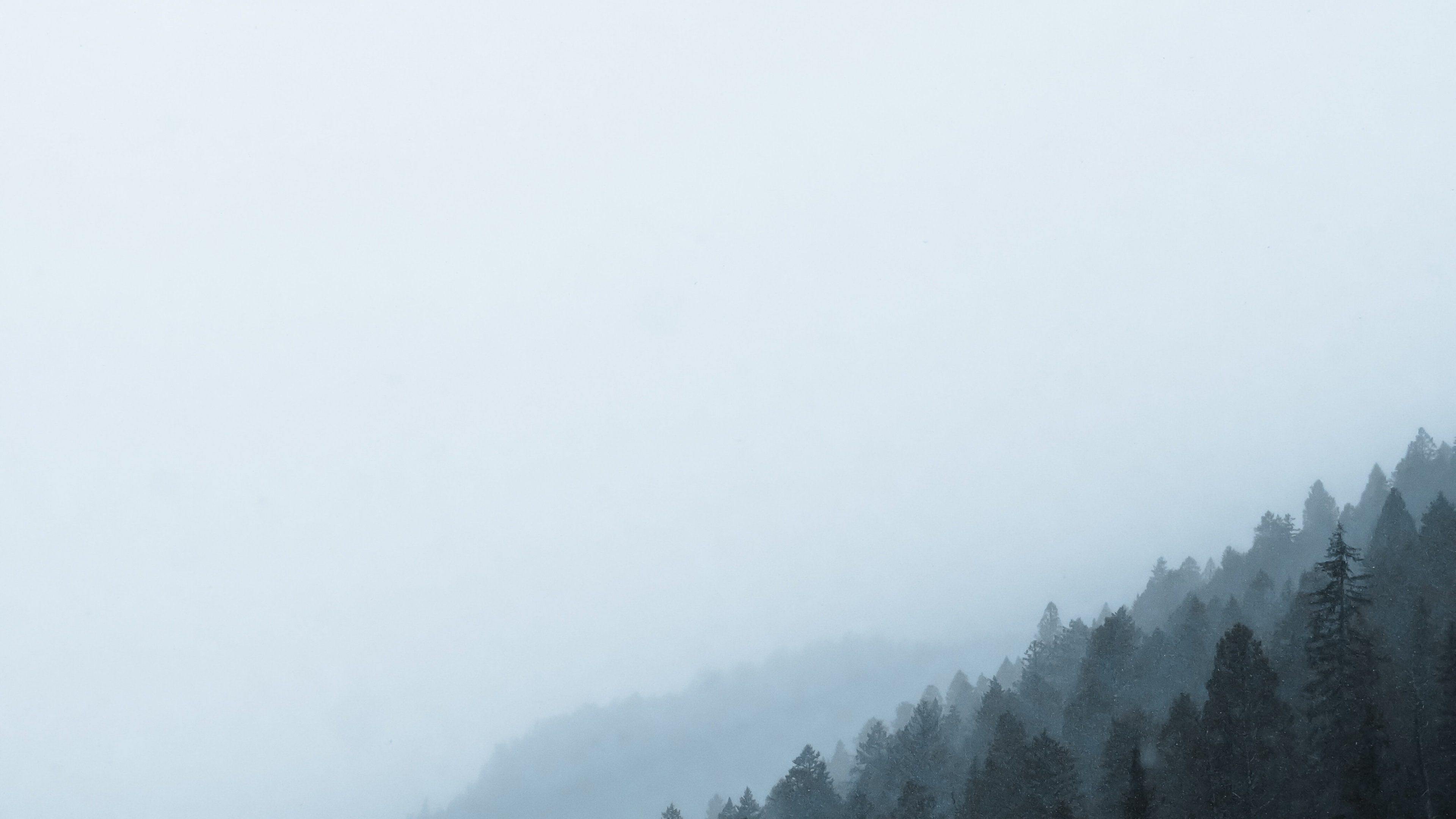 Matin, Neige, Brume, Brouillard, Atmosphère. Wallpaper in 3840x2160 Resolution