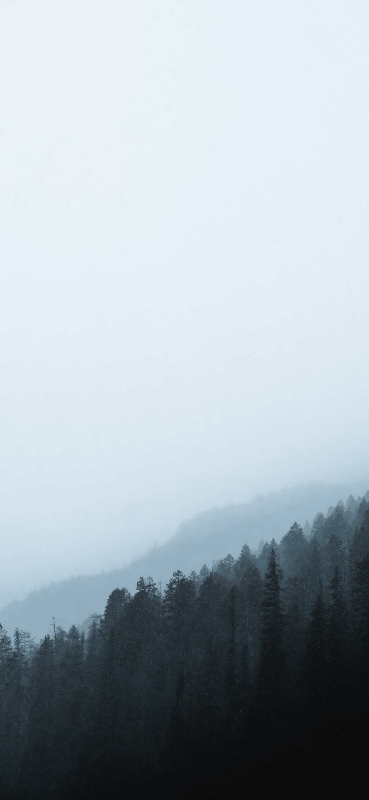 Morning, Snow, Haze, Cloud, Fog. Wallpaper in 1242x2688 Resolution