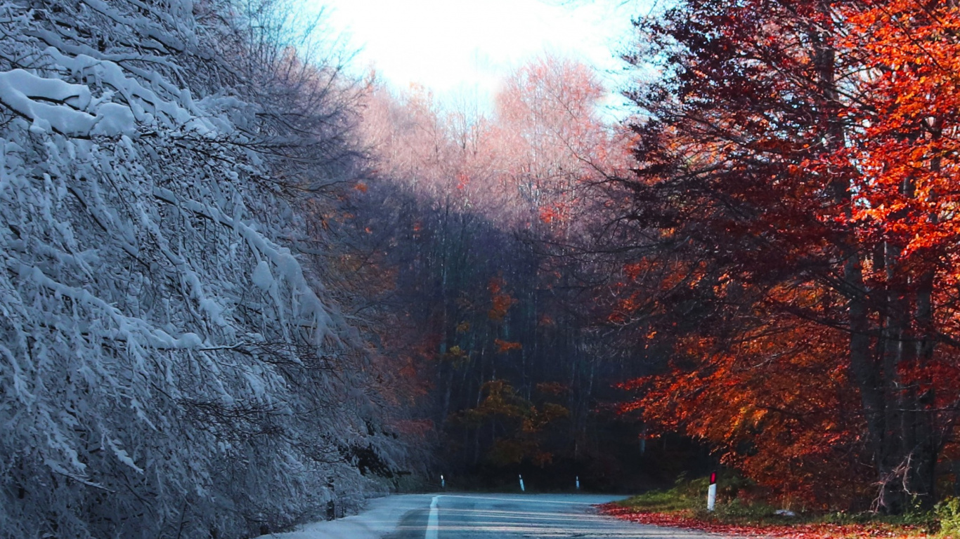 Download 1366x768 Wallpaper Autumn, Nature, Winter, Snow, Road Surface Autumn, Nature, Winter, Snow, Road Surface. Wallpaper in 1366x768 Resolution