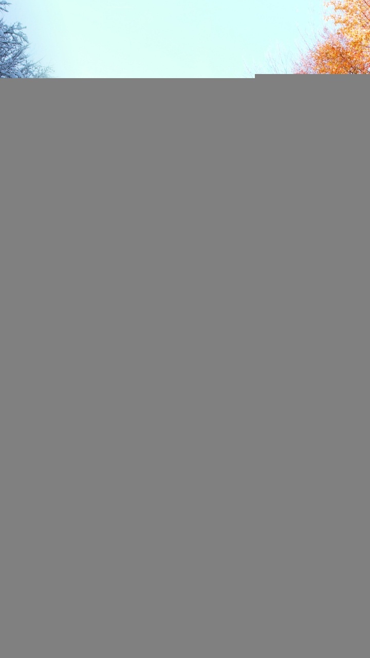 Autumn, Nature, Winter, Snow, Road Surface. Wallpaper in 720x1280 Resolution