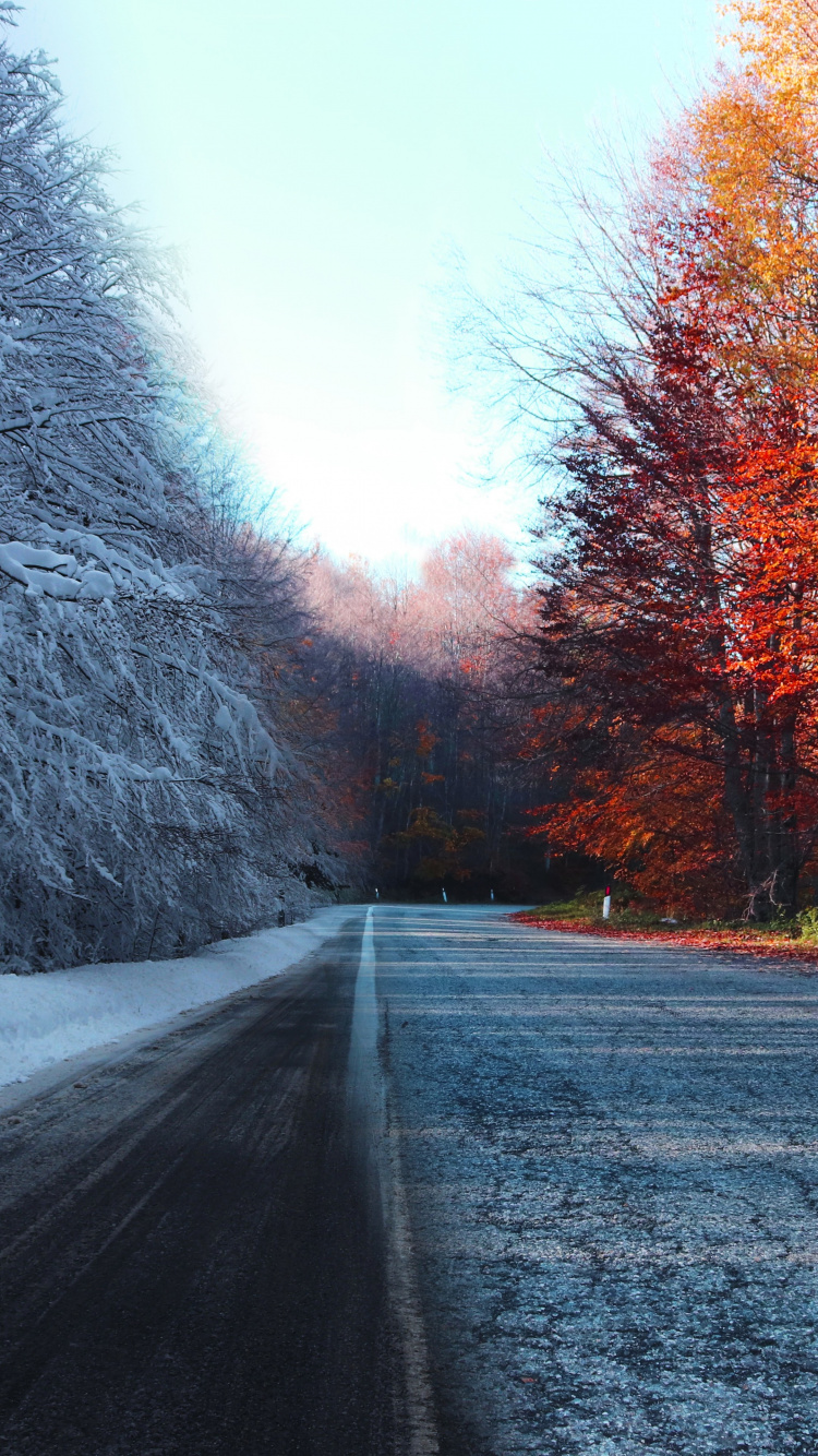 Herbst, Natur, Winter, Schnee, Fahrbahn. Wallpaper in 750x1334 Resolution