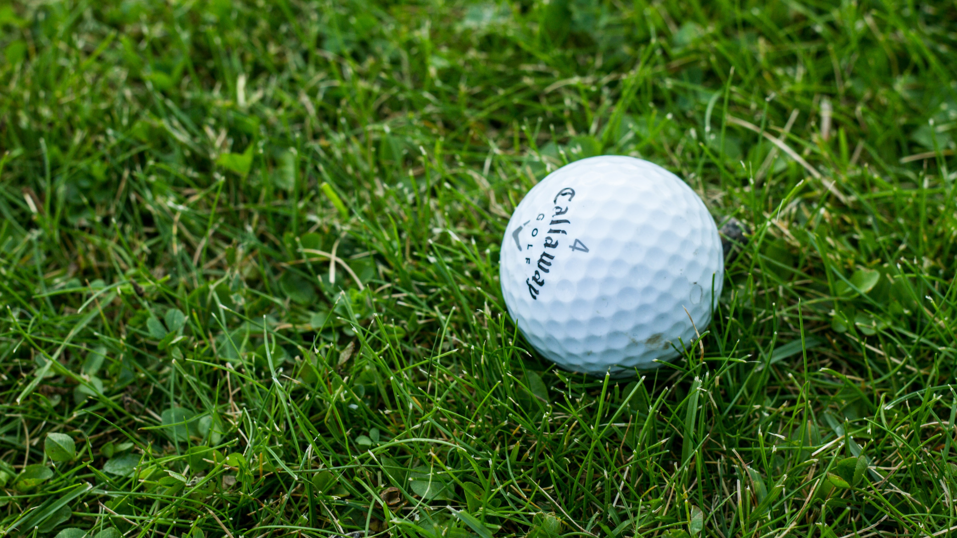 White Golf Ball on Green Grass Field. Wallpaper in 1920x1080 Resolution