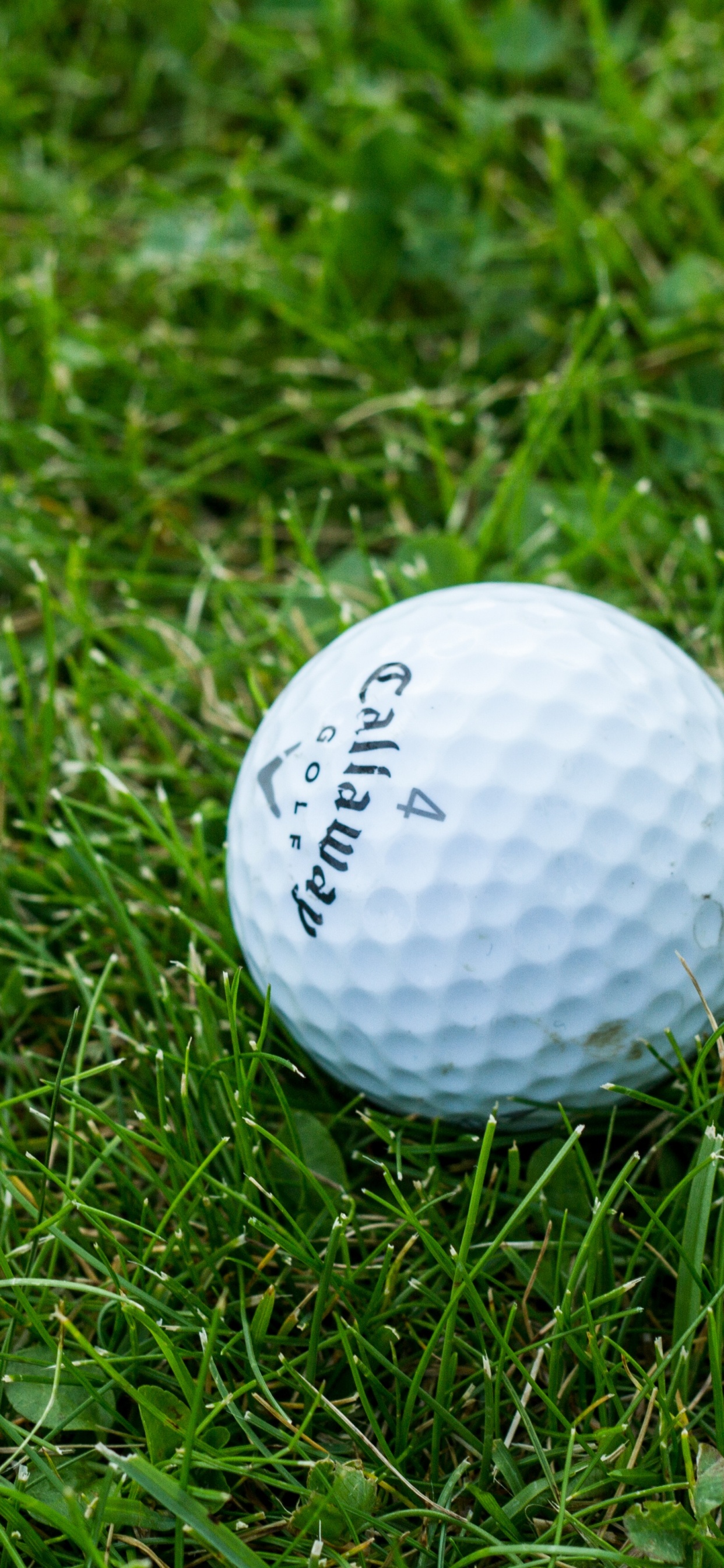 Pelota de Golf Blanca Sobre Campo de Hierba Verde. Wallpaper in 1242x2688 Resolution