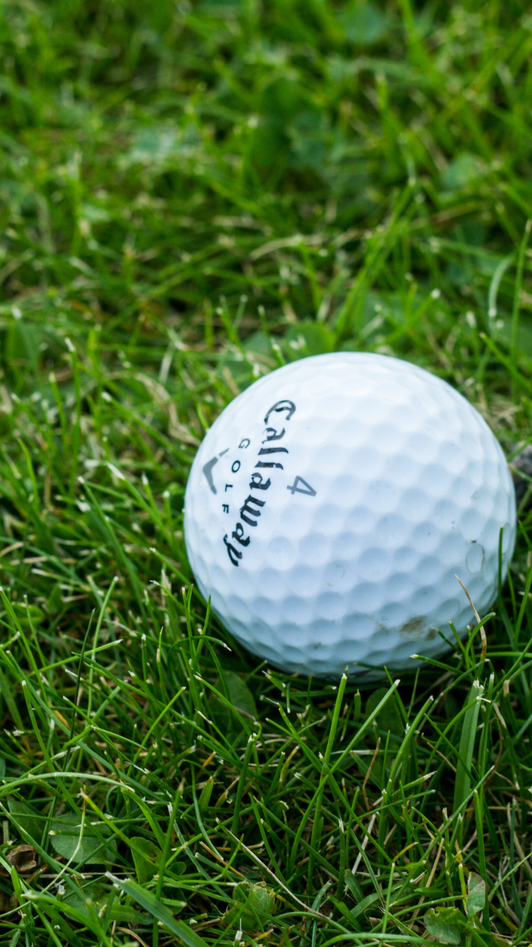 Pelota de Golf Blanca Sobre Campo de Hierba Verde. Wallpaper in 750x1334 Resolution