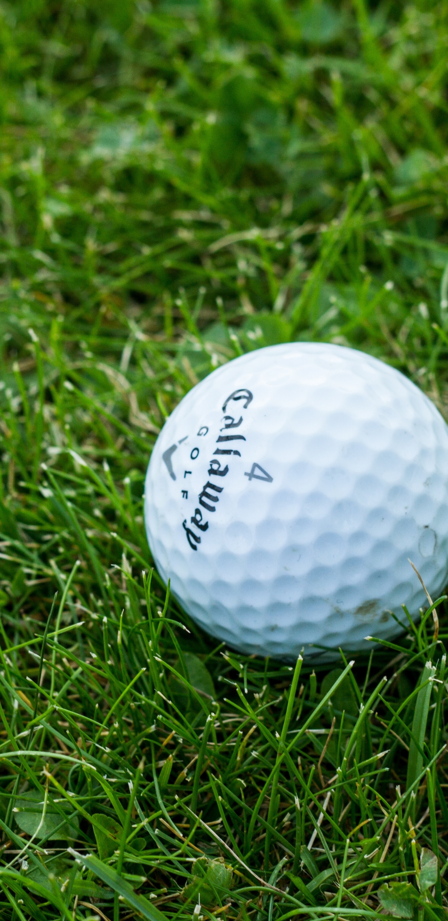 Weißer Golfball Auf Grüner Wiese. Wallpaper in 1440x2960 Resolution