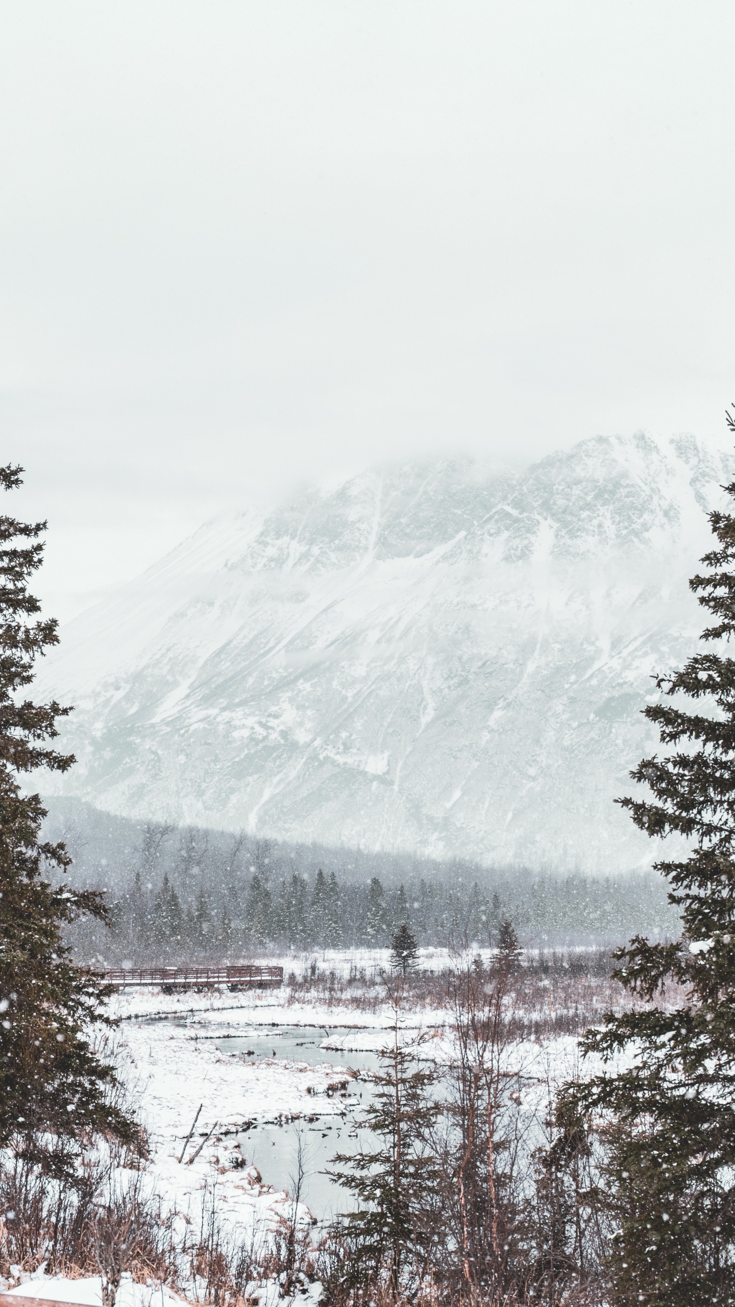 Neige, Hiver, Congélation, Station de Montagne, le Relief Glaciaire. Wallpaper in 1440x2560 Resolution