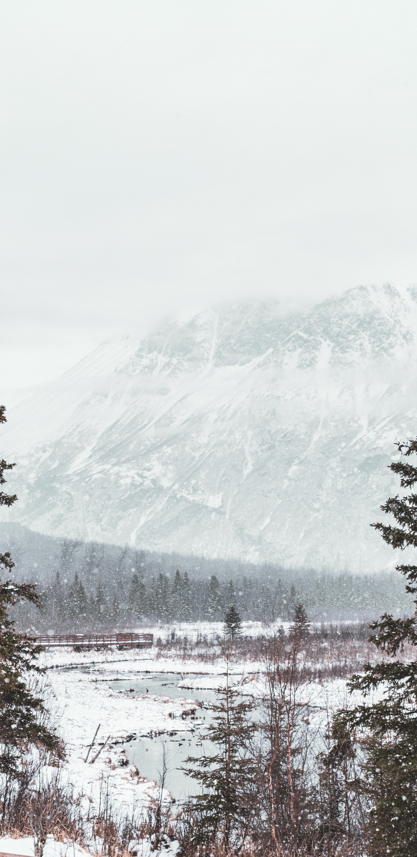 Neige, Hiver, Congélation, Station de Montagne, le Relief Glaciaire. Wallpaper in 1440x2960 Resolution