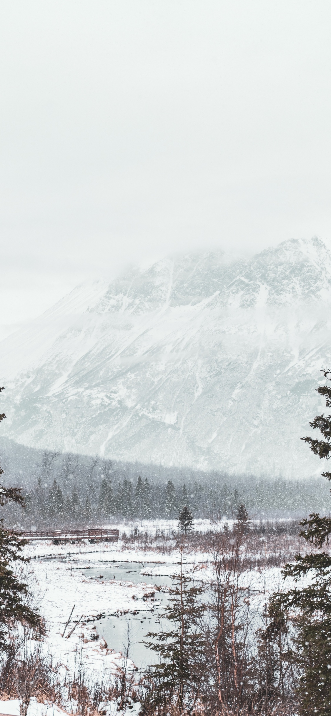Snow, Winter, Tree, Freezing, Mountain. Wallpaper in 1125x2436 Resolution