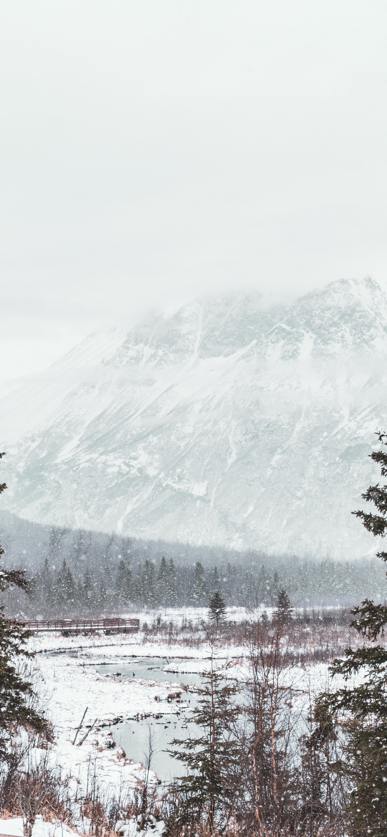 Snow, Winter, Tree, Freezing, Mountain. Wallpaper in 1242x2688 Resolution