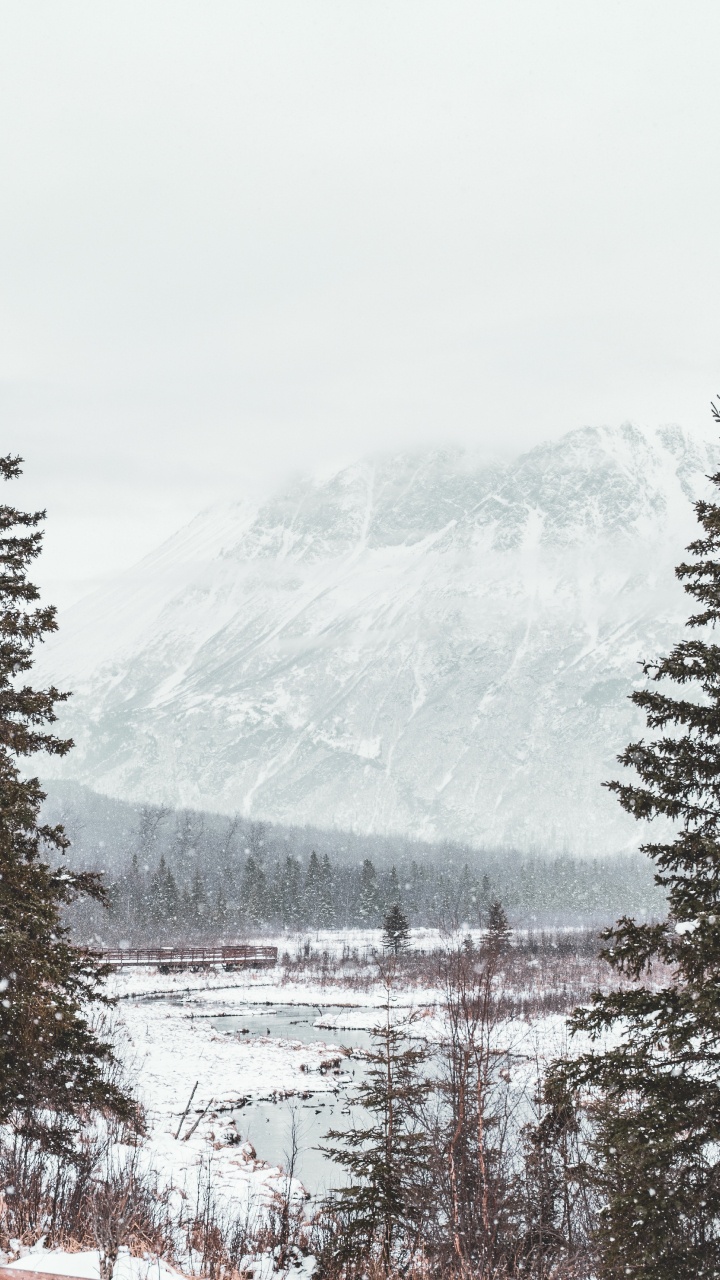 Snow, Winter, Tree, Freezing, Mountain. Wallpaper in 720x1280 Resolution