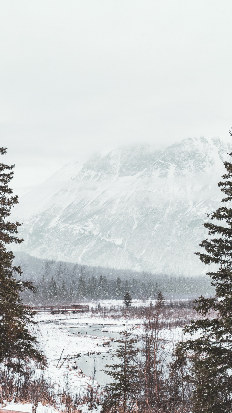 Snow, Winter, Tree, Freezing, Mountain. Wallpaper in 750x1334 Resolution