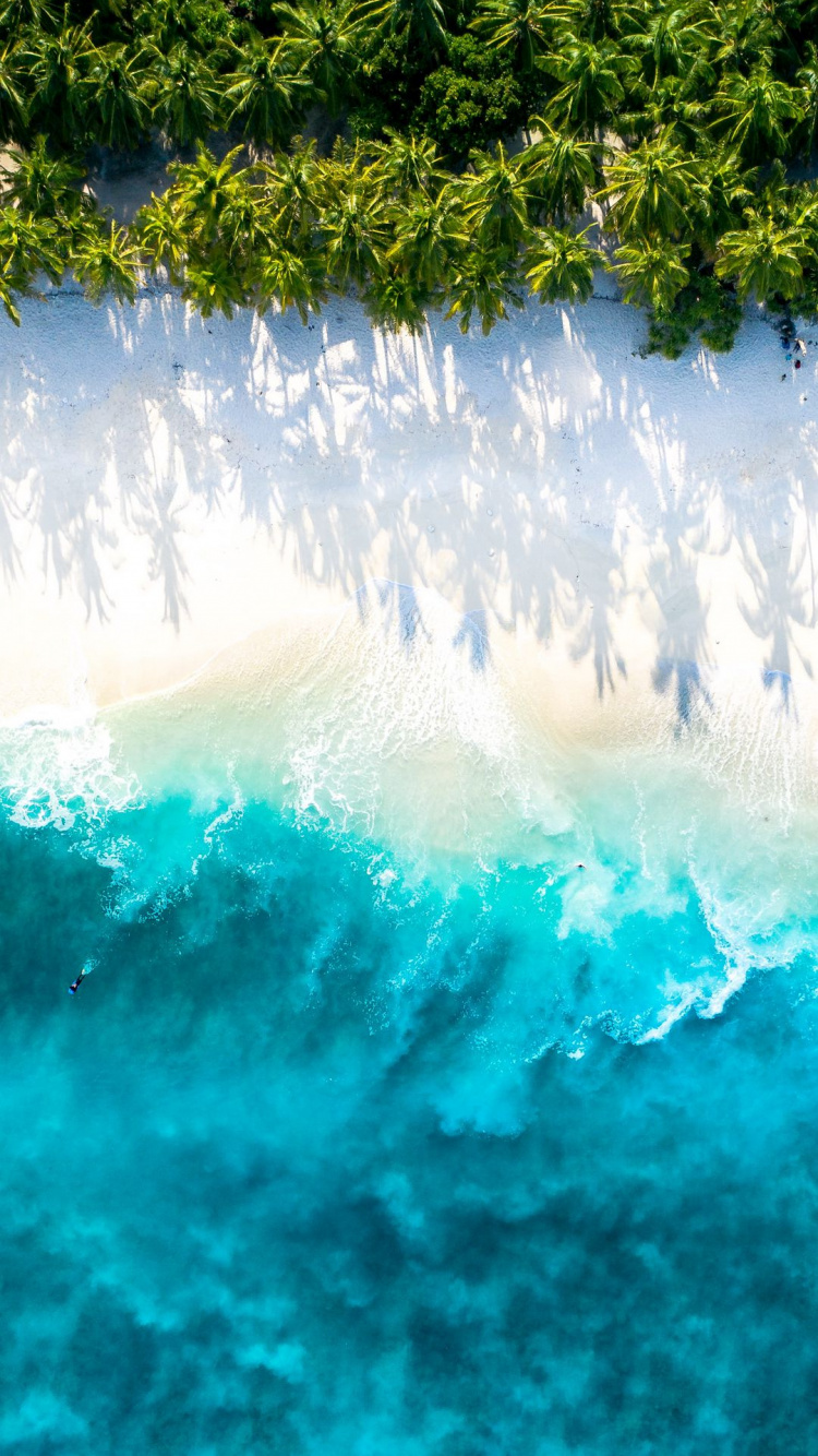 Poster, Displate, Create, Water, Water Resources. Wallpaper in 750x1334 Resolution