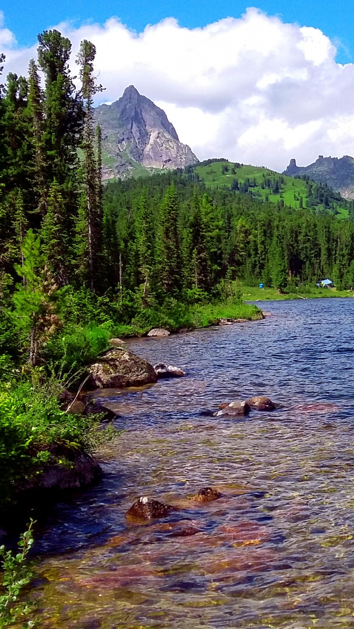 Green Trees Near Body of Water During Daytime. Wallpaper in 720x1280 Resolution