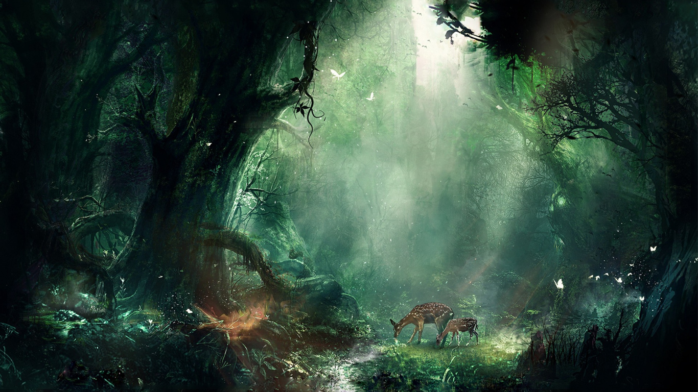 Jungle, Nature, Green, Natural Environment, Vegetation. Wallpaper in 1366x768 Resolution