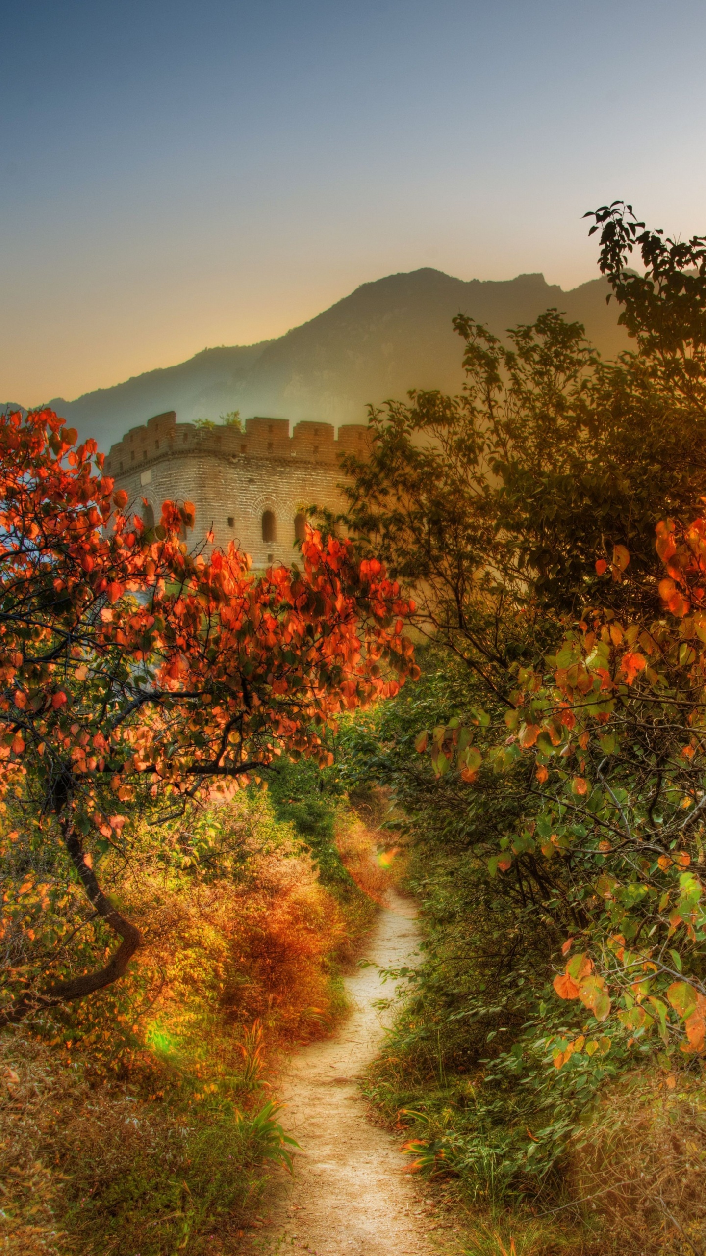 Tagsüber Grüne Und Braune Bäume in Der Nähe Des Berges. Wallpaper in 1440x2560 Resolution