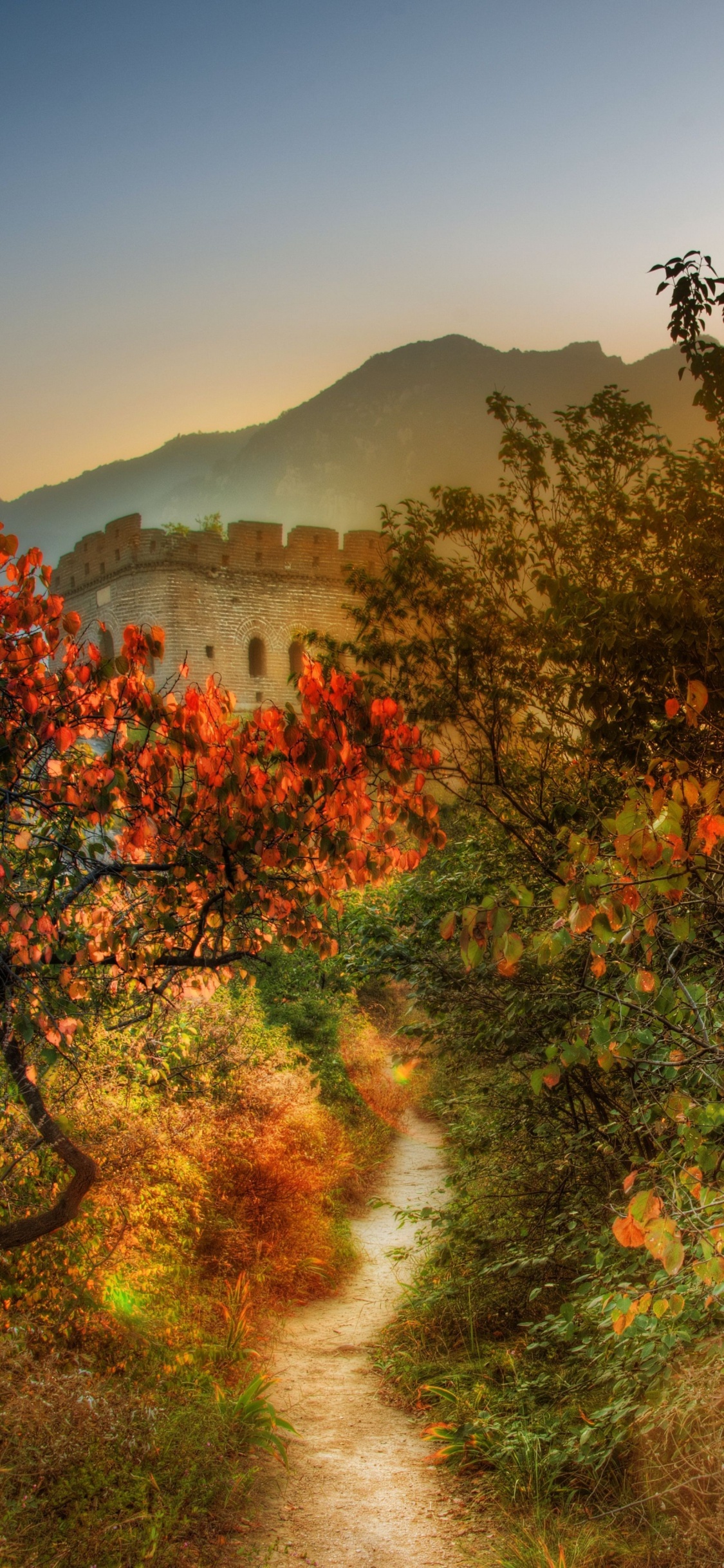 Green and Brown Trees Near Mountain During Daytime. Wallpaper in 1125x2436 Resolution