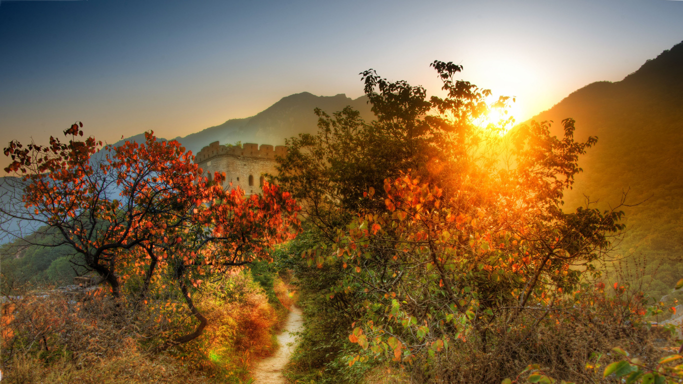 Green and Brown Trees Near Mountain During Daytime. Wallpaper in 1366x768 Resolution