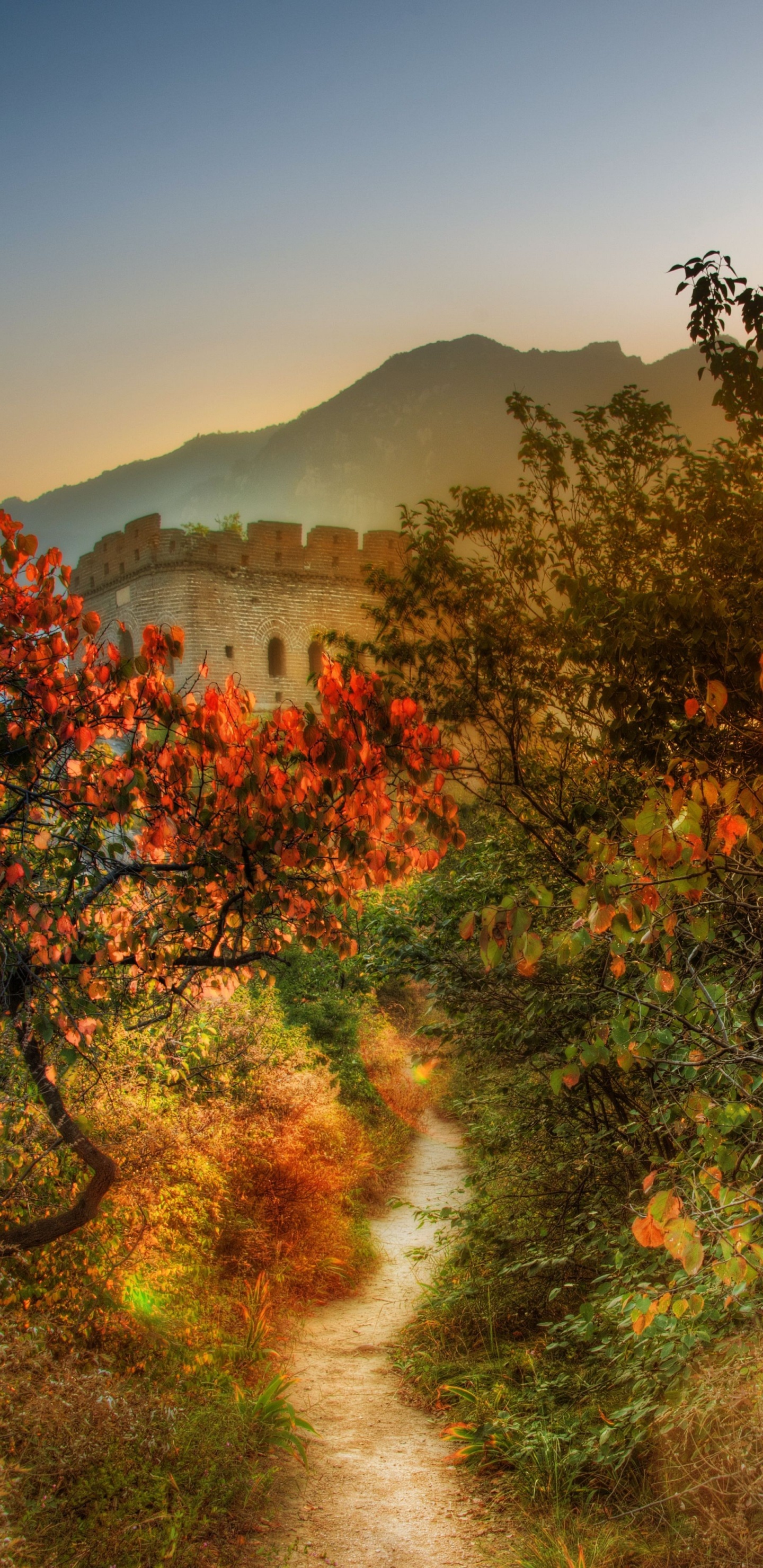 Green and Brown Trees Near Mountain During Daytime. Wallpaper in 1440x2960 Resolution