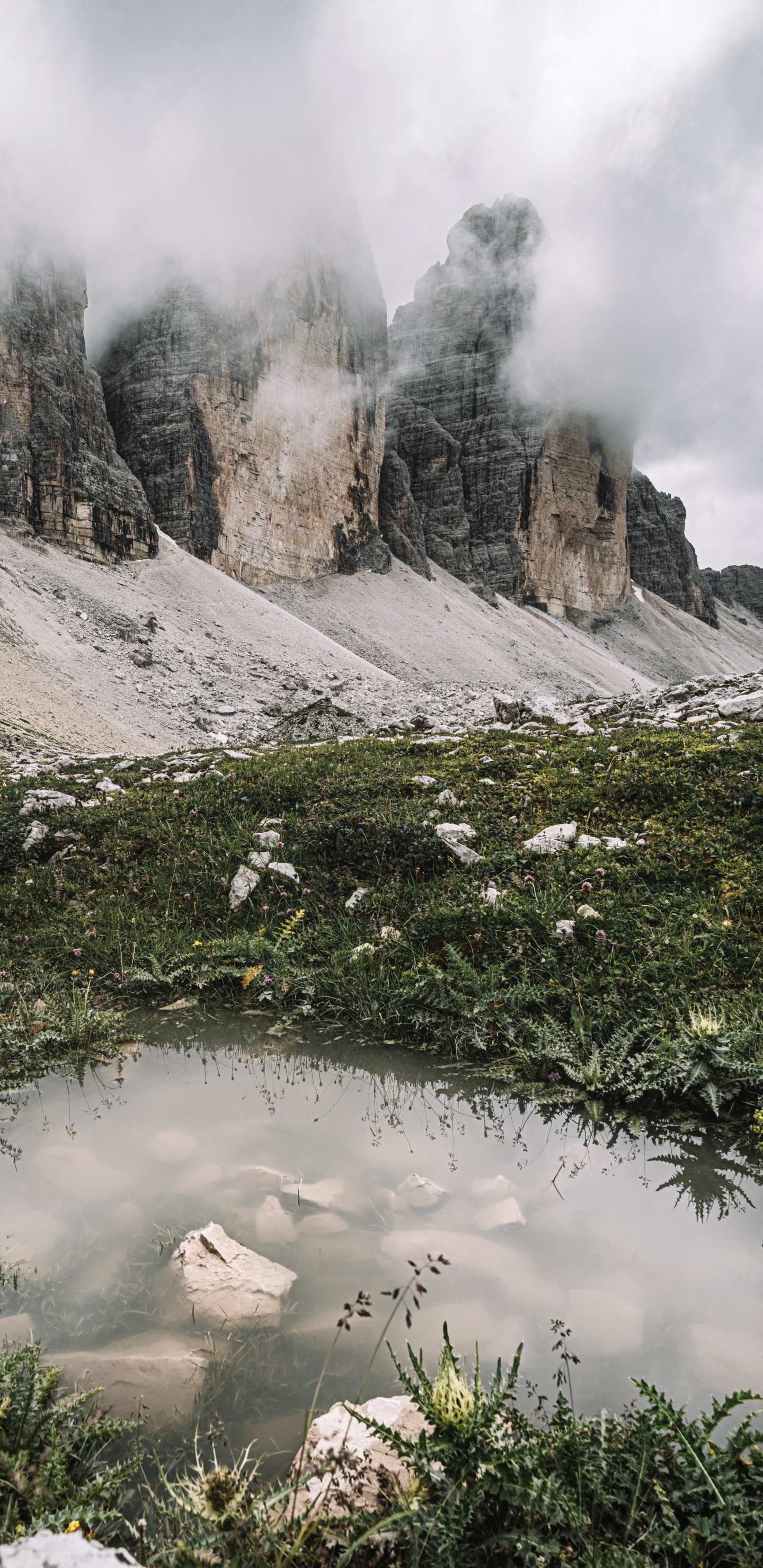 Paysage Naturel, Highland, Corps de L'eau, Biome, Cours D'eau. Wallpaper in 1440x2960 Resolution