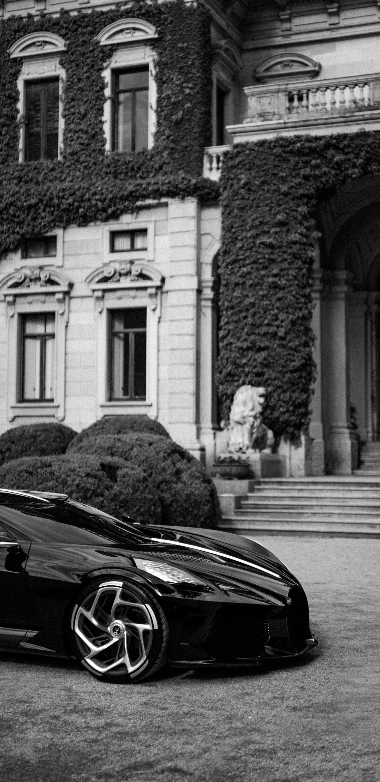 Deportivo, Coche, Bugatti Veyron, Carro de Lujo, Supercoche. Wallpaper in 1440x2960 Resolution