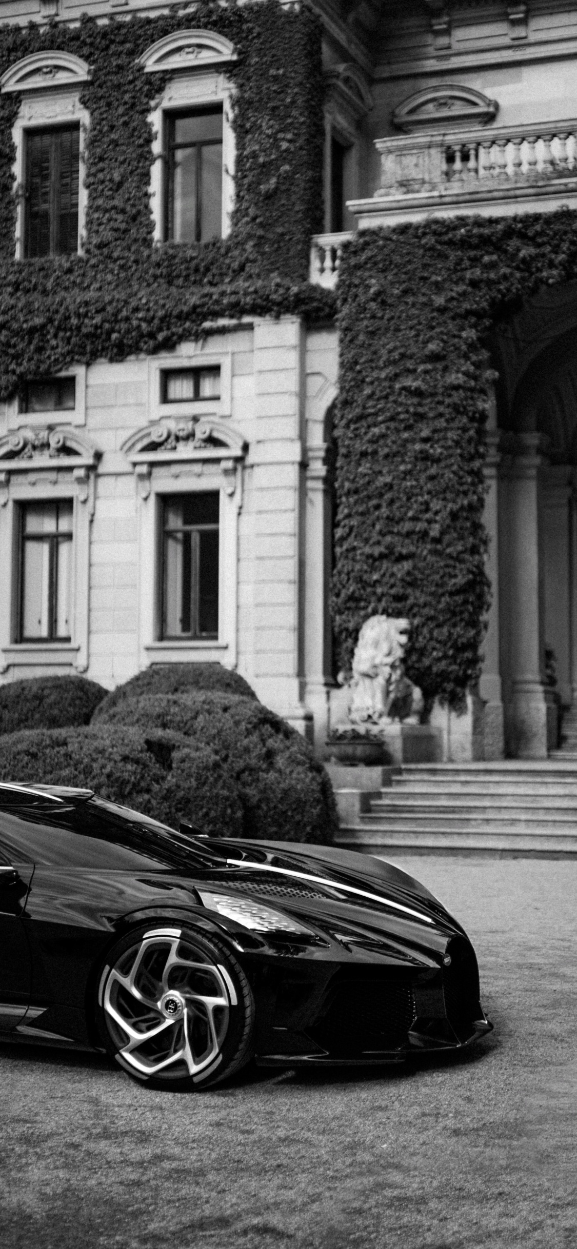 Sports Car, Cars, Bugatti Veyron, Luxury Car, Supercar. Wallpaper in 1125x2436 Resolution