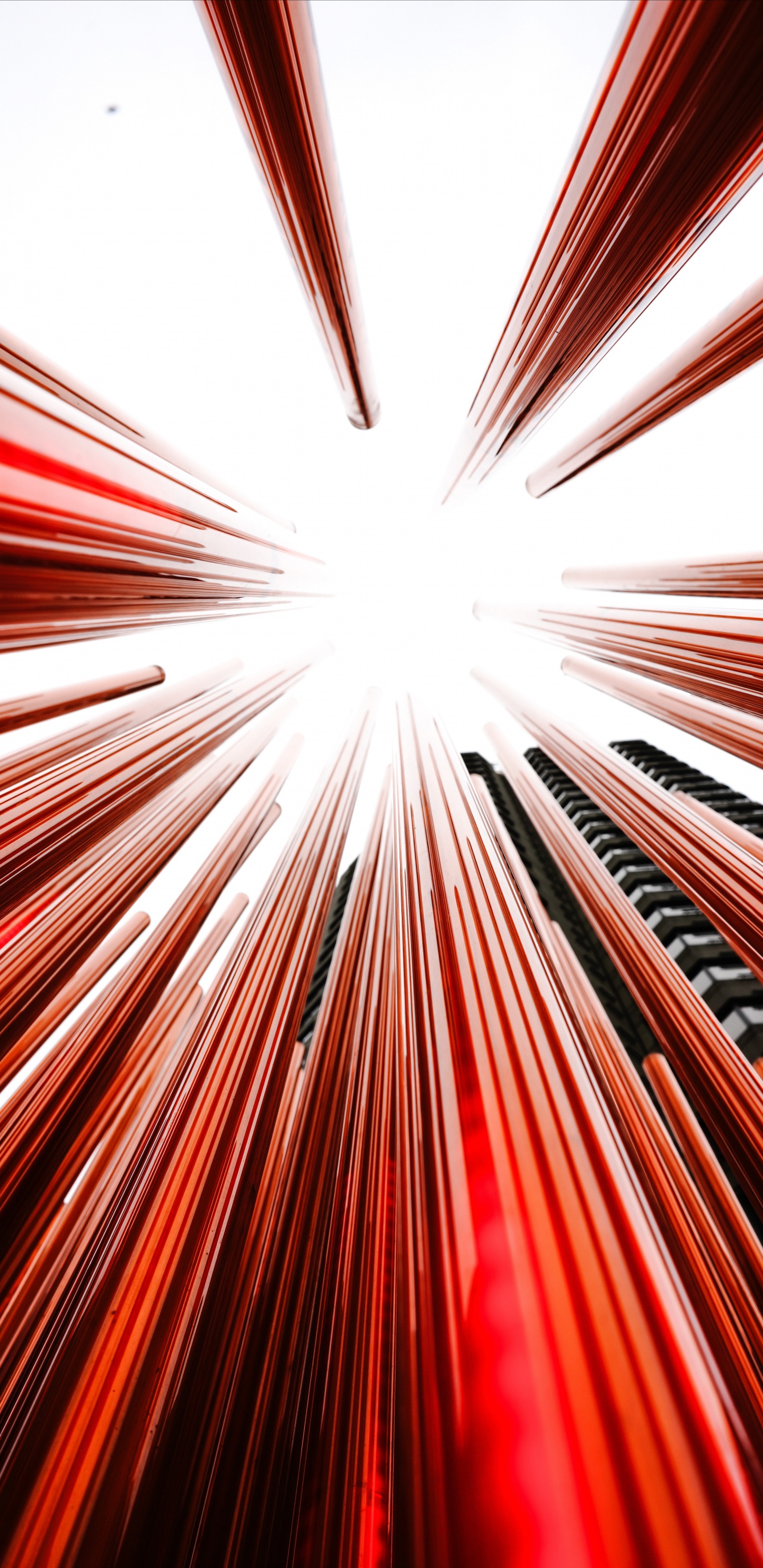 Papel Tapiz Digital de Luz Roja y Blanca. Wallpaper in 1440x2960 Resolution