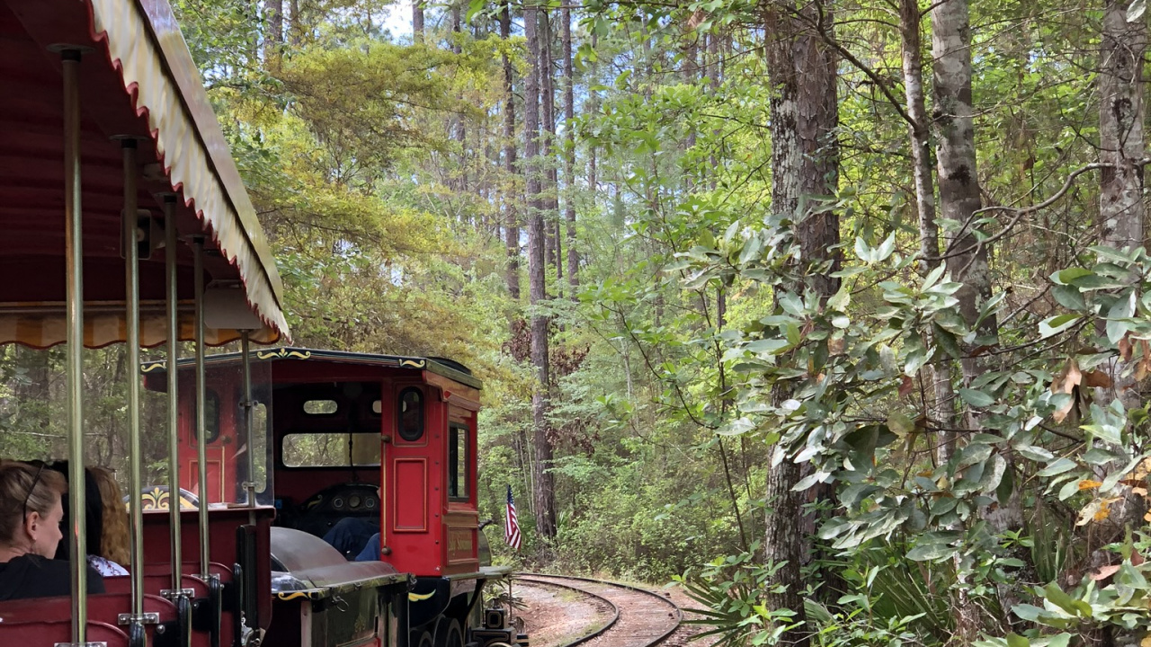 Rail Transport, Train, Railroad Car, Leaf, Track. Wallpaper in 1280x720 Resolution