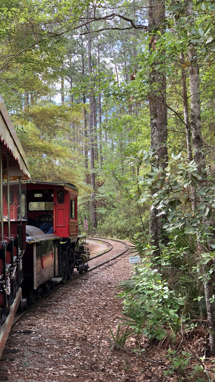 Rail Transport, Train, Railroad Car, Leaf, Track. Wallpaper in 750x1334 Resolution