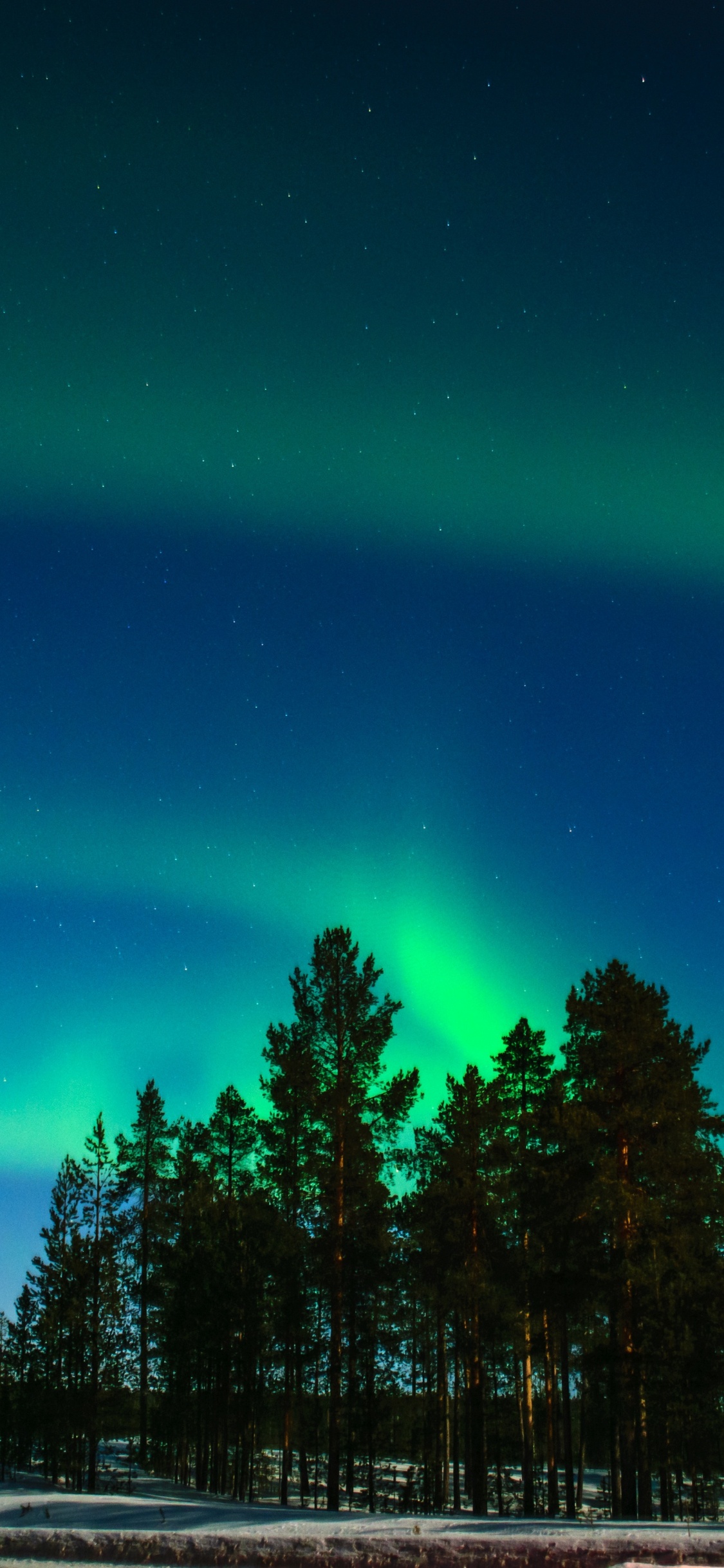 Aurora Lights, Aurora, North Pole, Rovaniemi, Light. Wallpaper in 1125x2436 Resolution