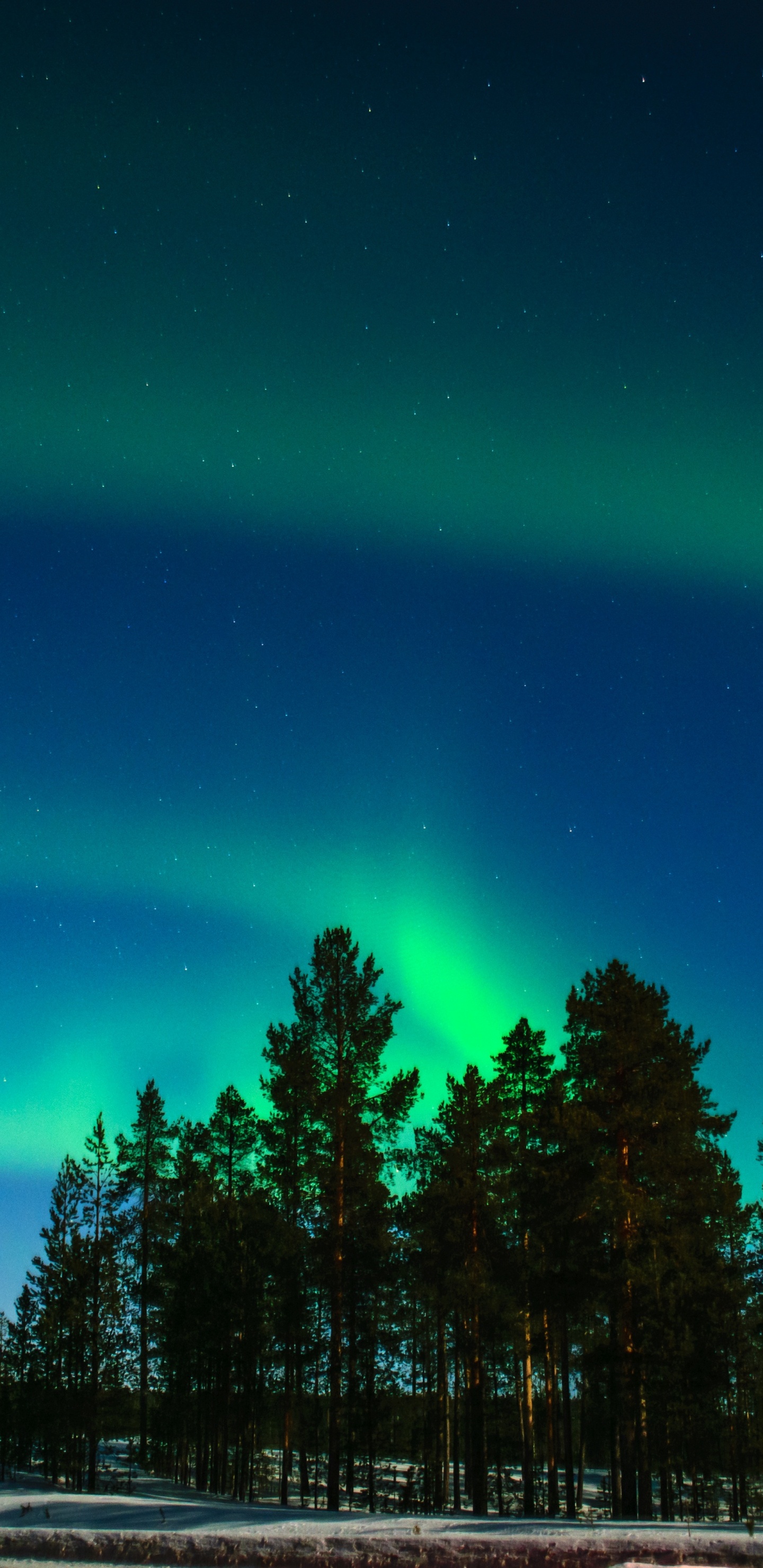 Aurora Lights, Aurora, North Pole, Rovaniemi, Light. Wallpaper in 1440x2960 Resolution