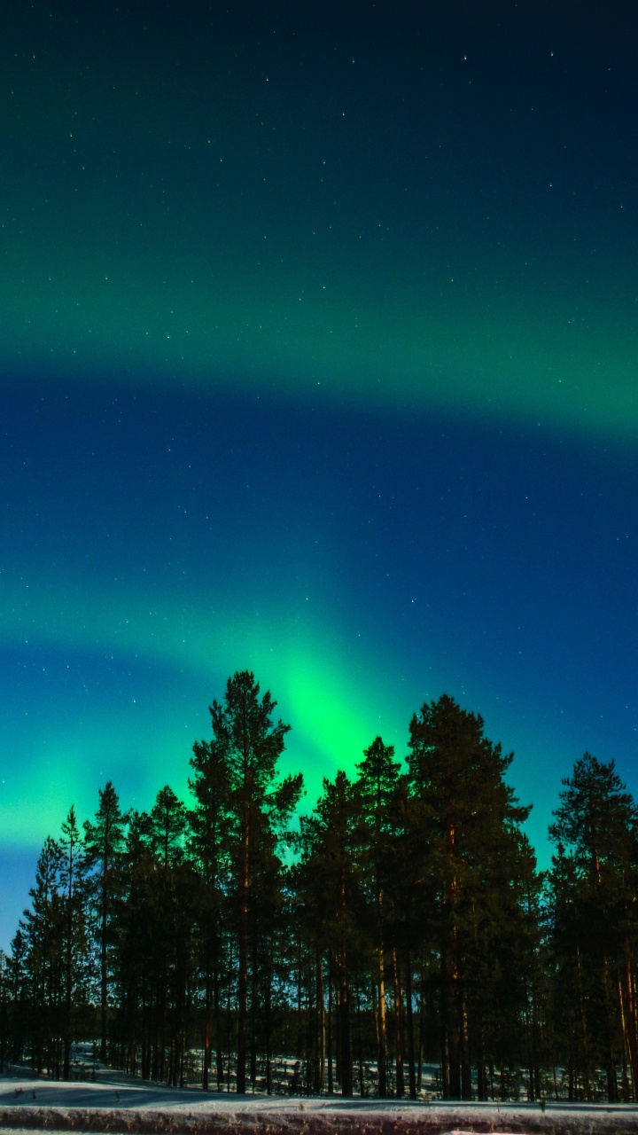 Luces de la Aurora, Aurora, Polo Norte, Rovaniemi, Luz. Wallpaper in 720x1280 Resolution