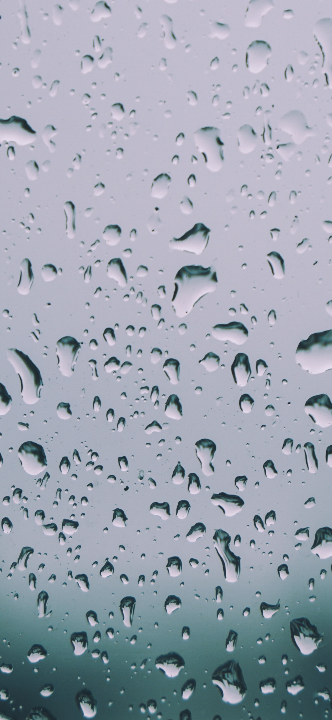 放下, 小雨, 湿气, 降水, 窗口 壁纸 1125x2436 允许