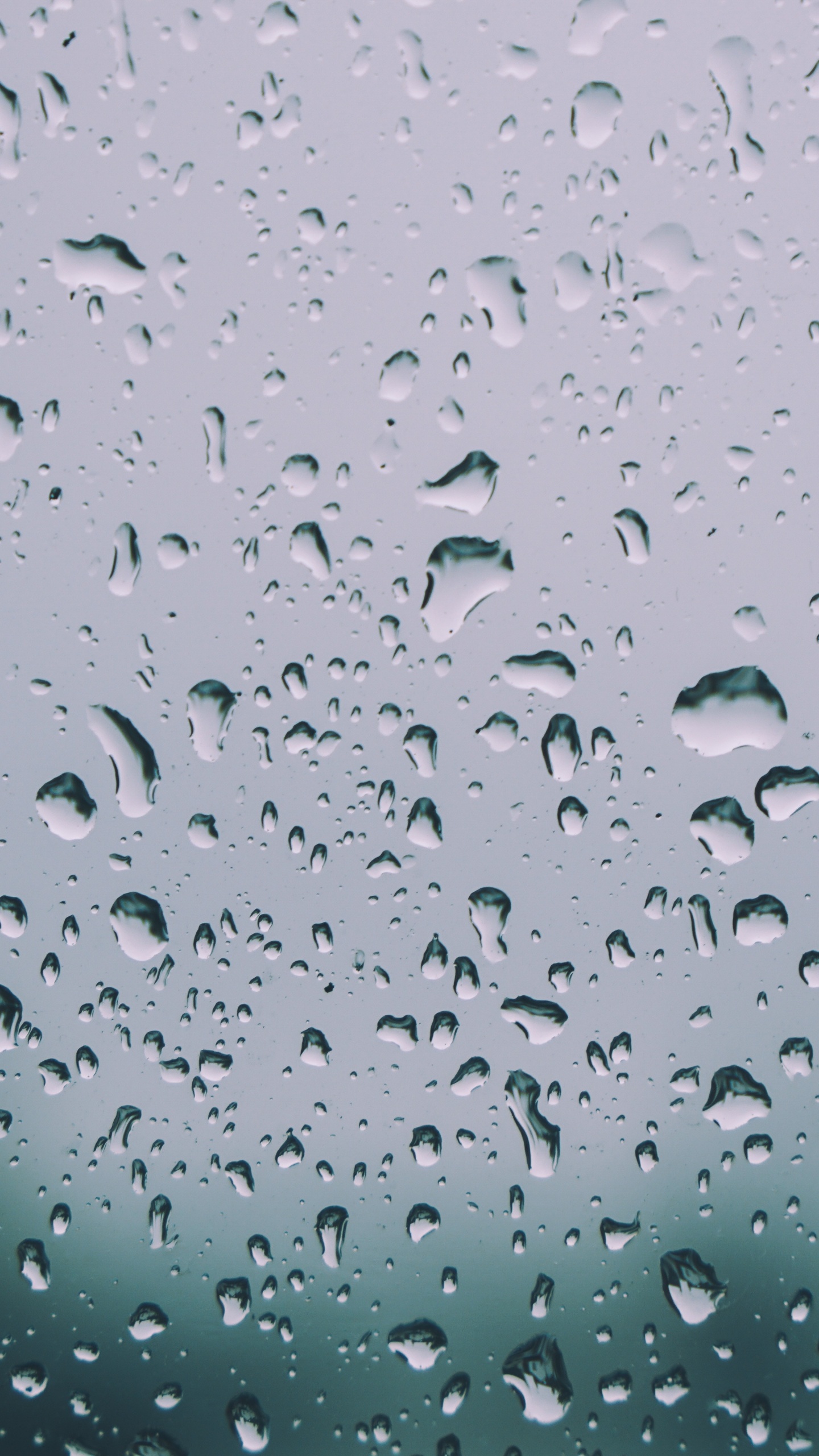 放下, 小雨, 湿气, 降水, 窗口 壁纸 1440x2560 允许